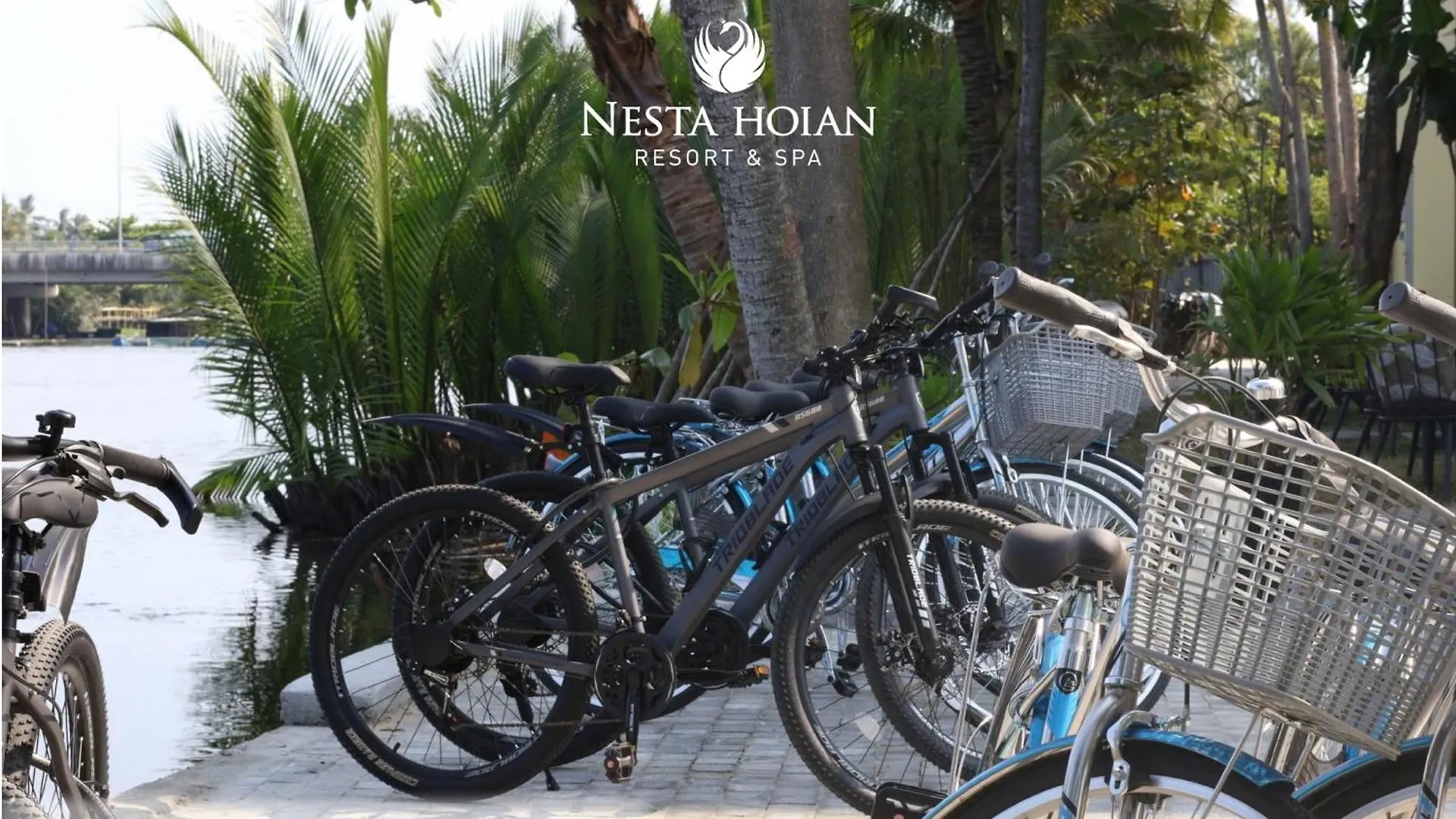 Nesta Hoian Resort & Spa 会安 越南